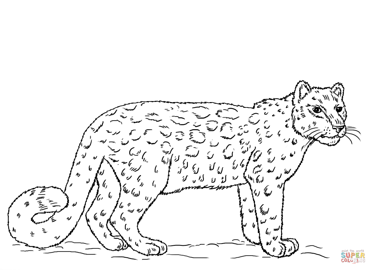 Plansa de colorat cu Leopard 3 23